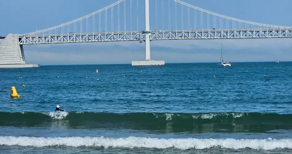 Explore Santa Cruz Beaches: Top Spots for Swimming, Surfing & Relaxation