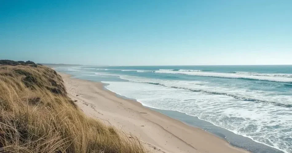 Explore Santa Cruz Beaches: Top Spots for Swimming, Surfing & Relaxation