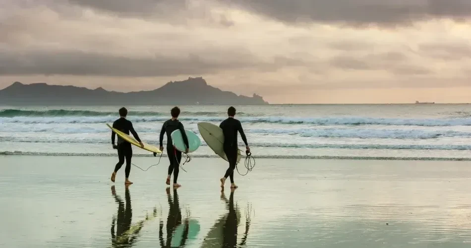 Top Attractions in Santa Cruz: Beaches, Boardwalks & Coastal Adventures